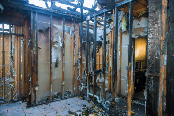 Professional Fire Damage Repair technician working in Meadow Glade, WA